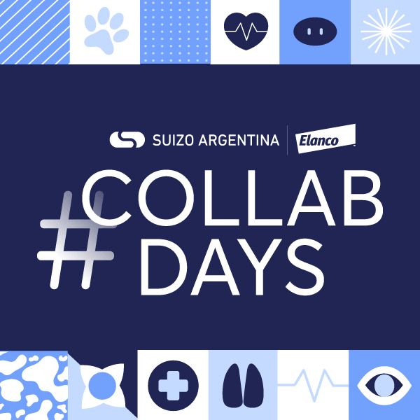 COLLAB DAYS